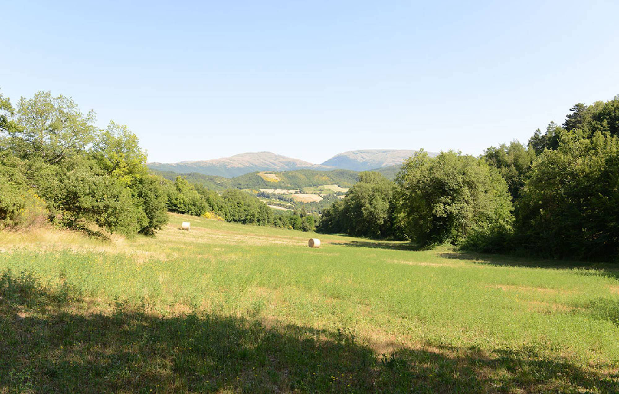valle di fiordimonte riserva di caccia